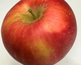 りんご（紅玉）の豚肉巻き作り方1写真