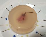 三つの春☆梅桃桜の寒天ゼリー作り方7写真