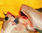 ウマヅラハギの刺身【ウマヅラの捌き方】作り方3写真