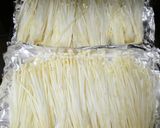 魚焼きグリル5分！塩胡椒で。焼き★えのき作り方5写真
