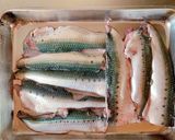 冷凍可能、お魚ハンバーグ(照り焼き味)作り方2写真