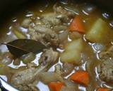 カレー粉で作る甘口ミルクカレー作り方5写真
