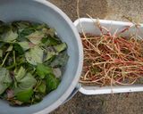 食品乾燥機で作る…「ドクダミ茶」作り方1写真