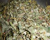 食品乾燥機で作る…「ドクダミ茶」作り方5写真