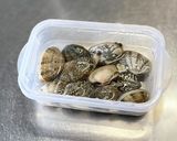 あさりの塩汁（お吸い物）作り方1写真