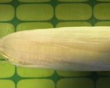 とうもろこしの茹で方作り方1写真