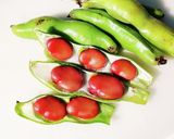 赤そら豆の塩ゆで作り方1写真