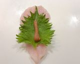 鶏胸肉♥しそと梅肉のフライ作り方2写真