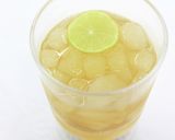 暑い日に飲みたいペルーカクテル〜チルカノ作り方3写真