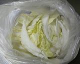おつまみ白菜〜白菜消費〜作り方1写真