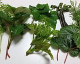 春の野草・山菜の天ぷら作り方1写真