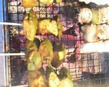 アボカドの味噌にんにく焼き作り方16写真