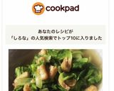 しろ菜と薄あげの煮浸し作り方6写真