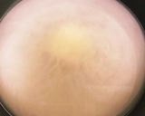 コンビニ食材でシェントウジャン風朝ご飯作り方2写真