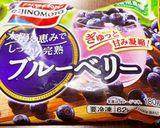 ローズヒップとブルーベリーのスムージー作り方3写真