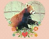 📖掲載✨豚こま肉ときゅうりのニンニク炒め作り方20写真
