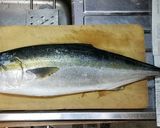 つやつや ブリ大根作り方1写真