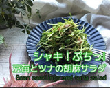 シャキ！ぷちっ！豆苗とツナの胡麻サラダ作り方1写真