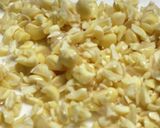 ヨーグルティアで作る自家製ひきわり納豆作り方2写真