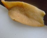 石焼おこげ作り方7写真