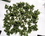 山椒の実をドライ保存作り方8写真