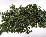 山椒の実をドライ保存作り方11写真