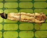 香ばしい焼き茄子作り方13写真