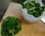 新タマネギで美味しい冷しゃぶ作り方3写真
