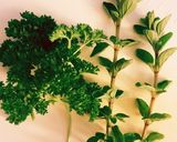 即席フレッシュハーブのドレッシング作り方1写真