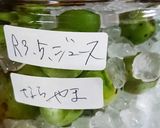 長期保存も可能な、梅ジュース作り方8写真