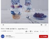 天然ハーブの幸せを呼ぶ青いチョコクッキー作り方23写真