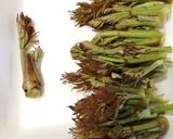 ★山菜の天ぷら★こごみ★タラの芽★こし油作り方1写真