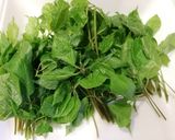 ★山菜の天ぷら★こごみ★タラの芽★こし油作り方3写真