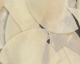 餃子の皮でパリパリチップス！作り方1写真