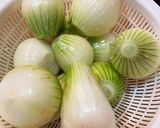 ゆかりのイブクロ 新玉ねぎの煮付け作り方1写真