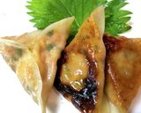 ツナマヨキムチ餃子★青じそでさっぱり作り方6写真