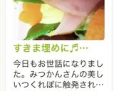 すきま埋めに♬ 崩れないハムカップ♡♥作り方12写真