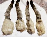 人魚姫になった海老天♪作り方9写真