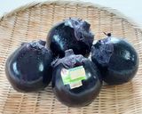 【野菜ソムリエ】素揚げ賀茂なすジュレかけ作り方8写真
