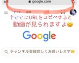 早ワザ！失敗しない簡単しょうが焼き作り方4写真