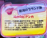 キャンプ飯 純白のビアンカ 炭火焼き作り方7写真