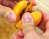 枇杷(びわ)のドライフルーツの作り方作り方1写真