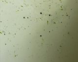 大根葉のふりかけ作り方3写真