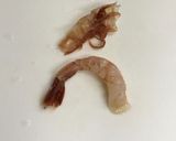 幻のガサエビの刺身と味噌汁 (越前エビ)作り方4写真