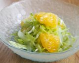 爽やか！甘夏とキャベツのコールスロー♪作り方6写真