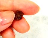 さくらんぼ/チェリーのドライフルーツ作り方9写真
