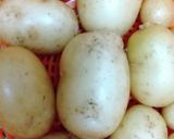 じゃが芋のロールオムレツ作り方1写真