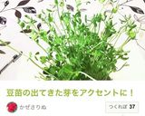 ハムでお花(花型とマヨ)作り方6写真