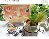 ハムでお花(花型とマヨ)作り方9写真