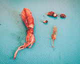 60℃ 簡単◎低温調理 ほたるいかの佃煮作り方1写真